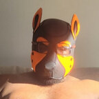 Profile picture of bignerdpup