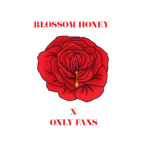 blossomhoney avatar