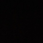 Profile picture of lisabeth