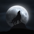 littlemoonwolf avatar