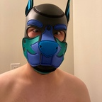 pup_orion avatar