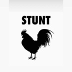 Profile picture of stunttcock
