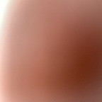 Profile picture of sugarplum