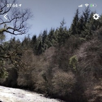 Profile picture of tattedpup