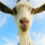 Profile picture of thepovgoat