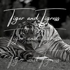 tigerandtigress avatar