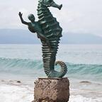 Profile picture of vallarta